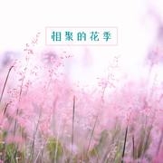 相聚的花季