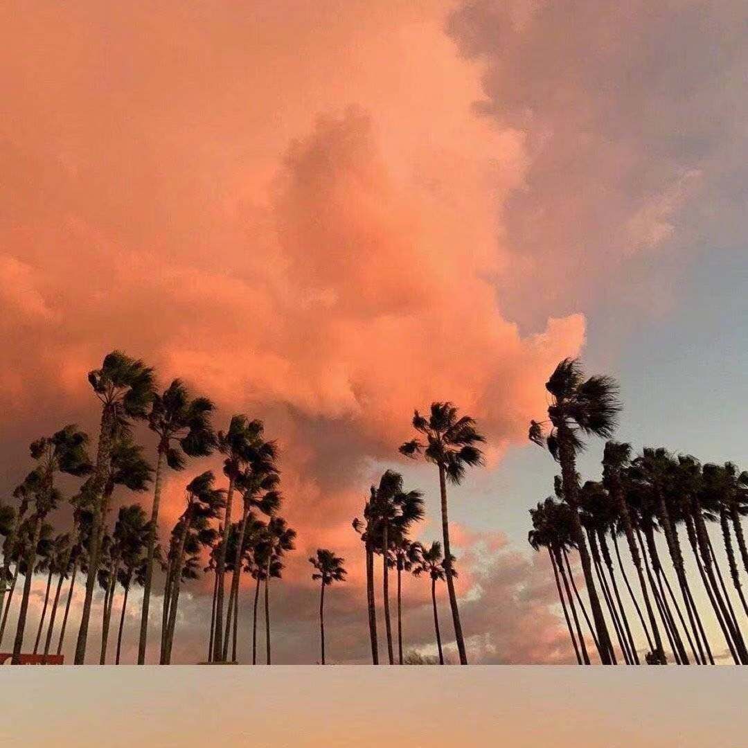 好男人都死哪去了(翻自 崔子格)