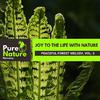 Positive Nature Music Library - Puny Squirrel Chatter