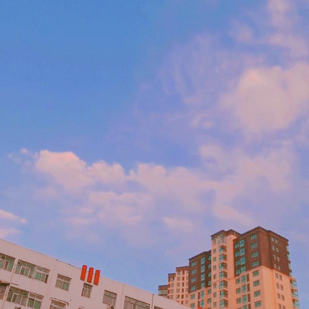 韩 | 你是梅子味的夏天☀