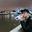 William_蒋