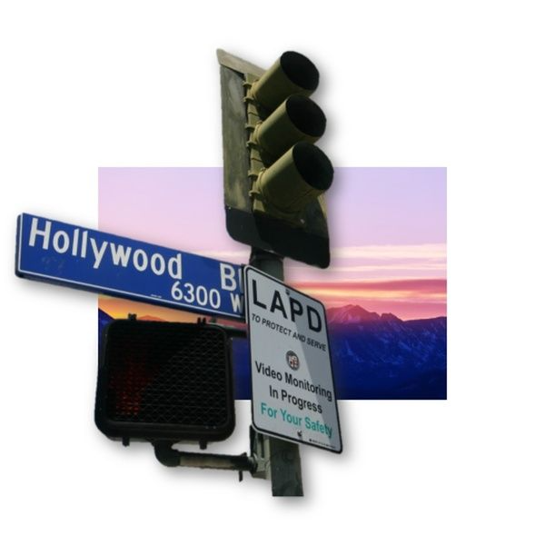 Hollywood Dreaming