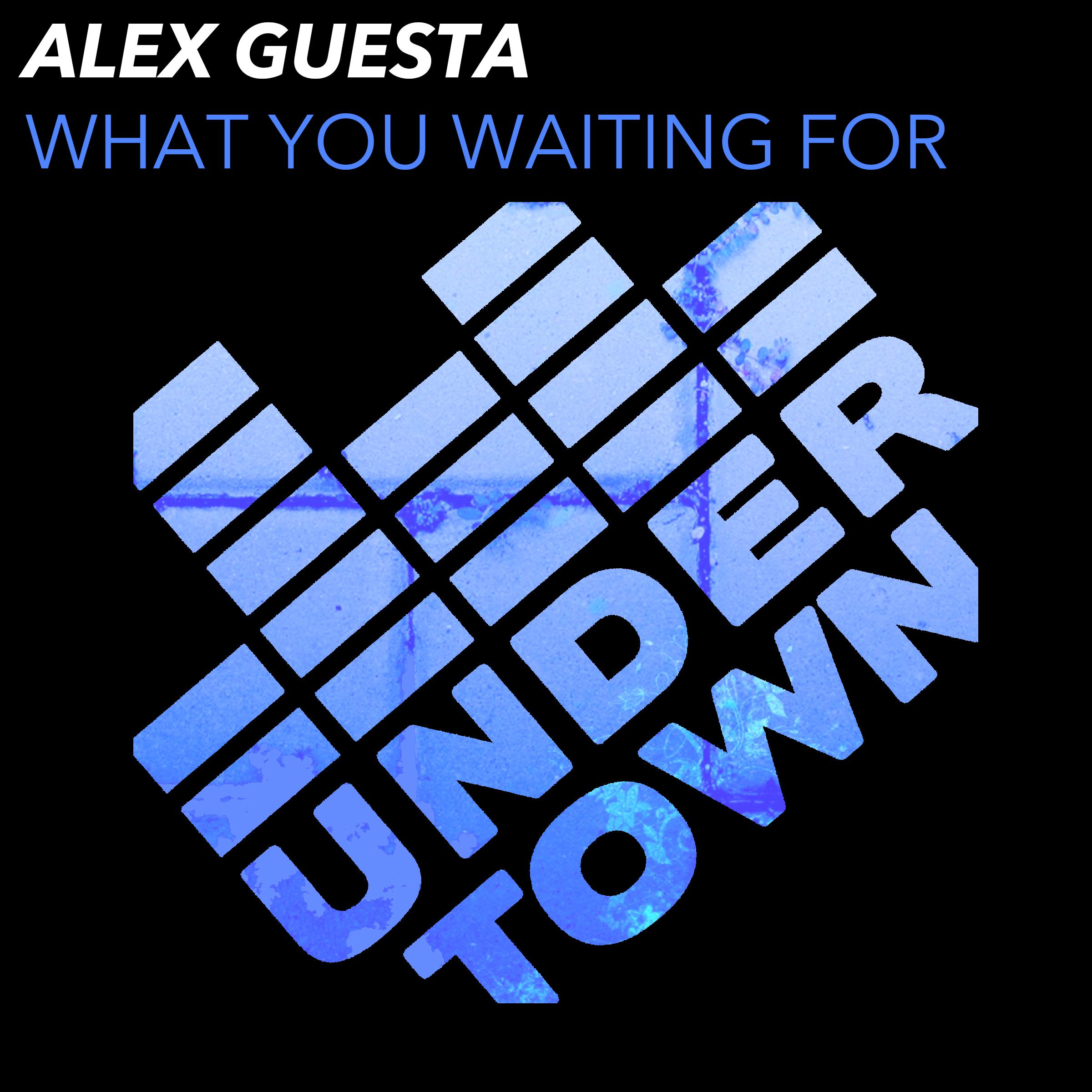 Alex Guesta - What you waiting for (Acapella)
