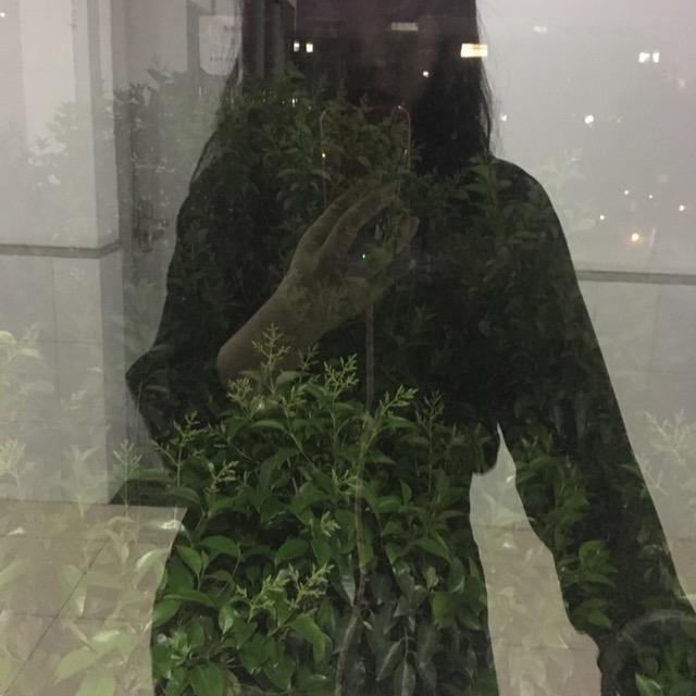 去不去植物园？专辑