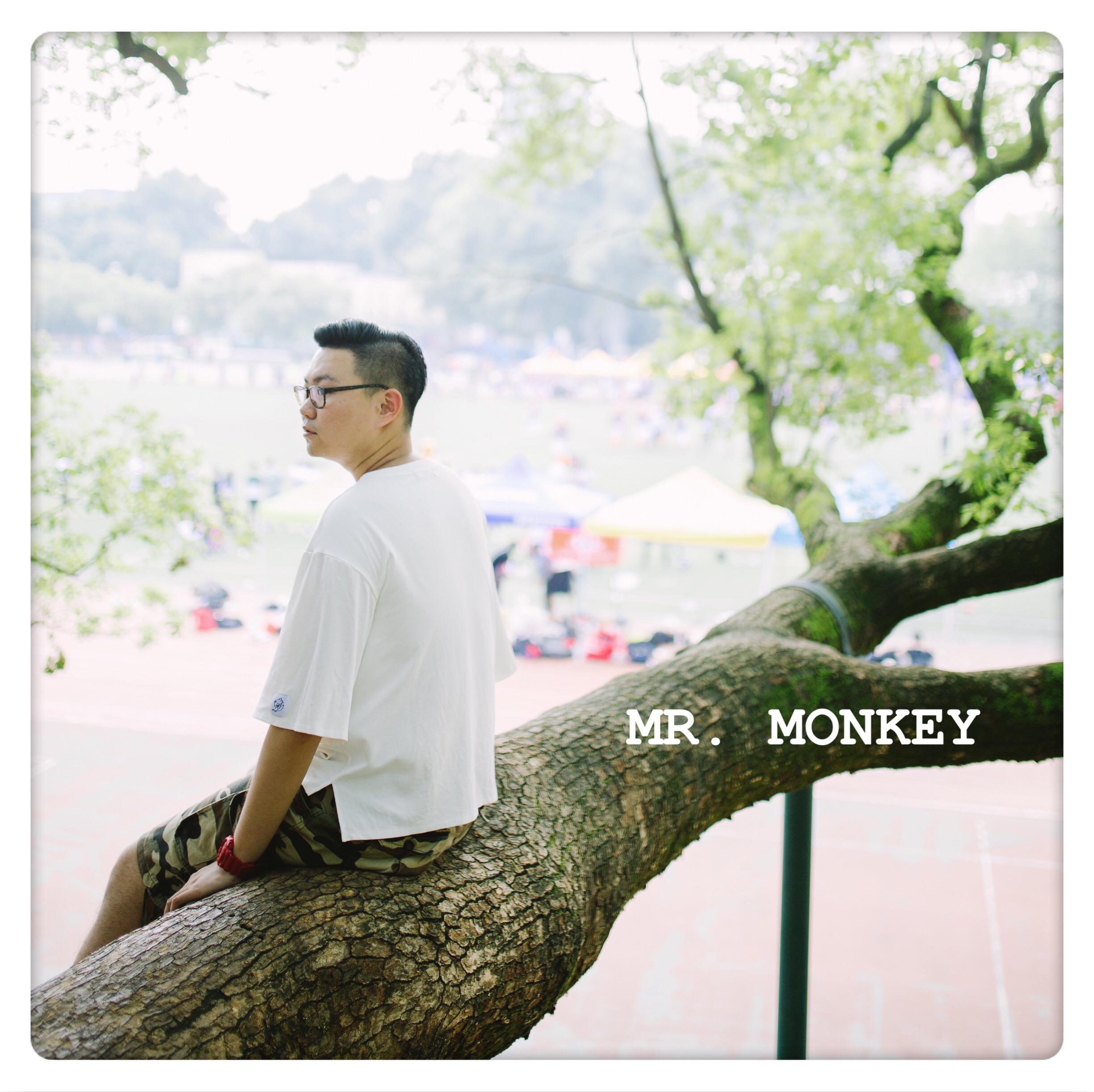 Mr. Monkey专辑