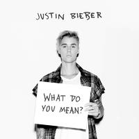 What Do You Mean? - Justin Bieber 原唱