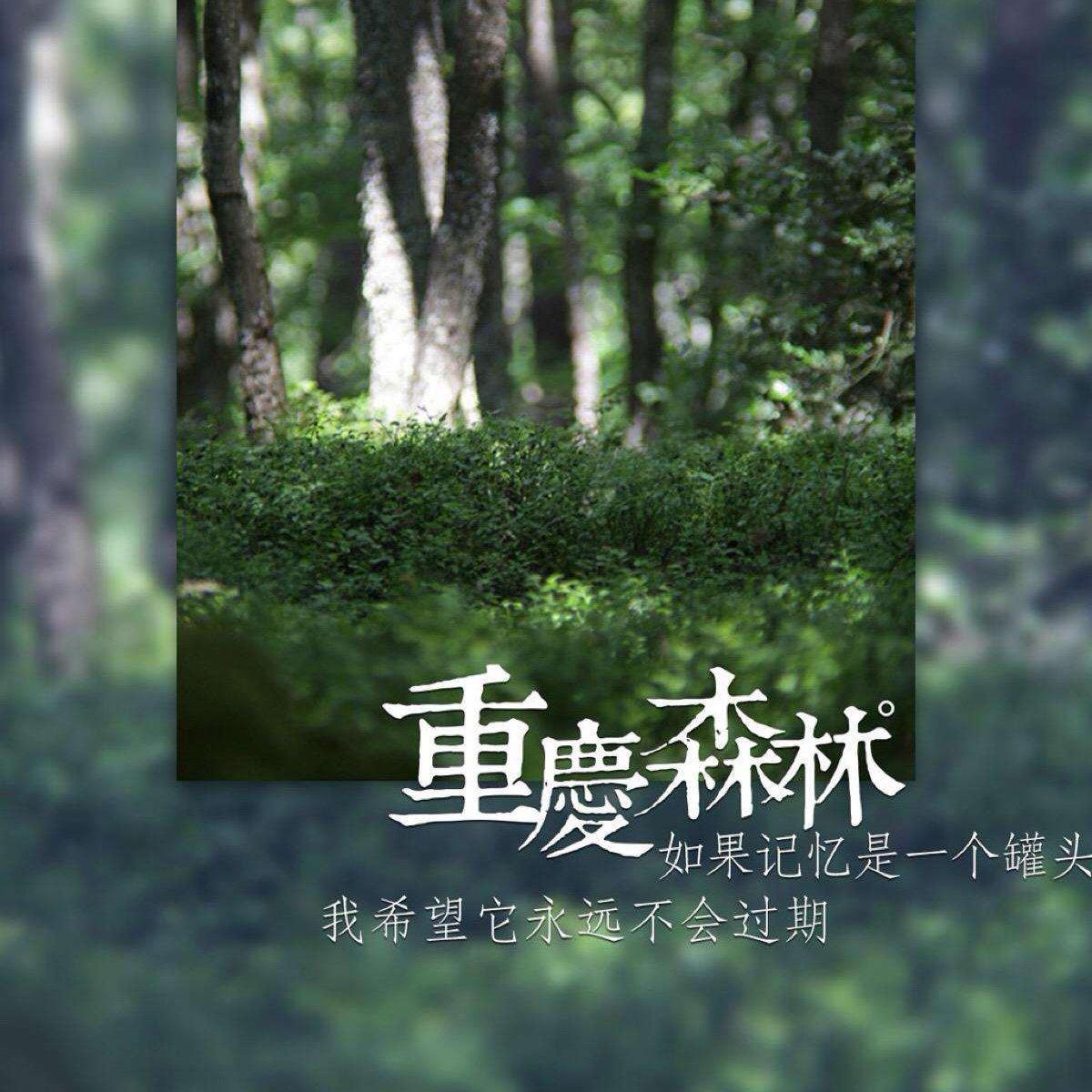 【王家卫】电影中的经典插曲 | 在线播放 | 网易云音乐