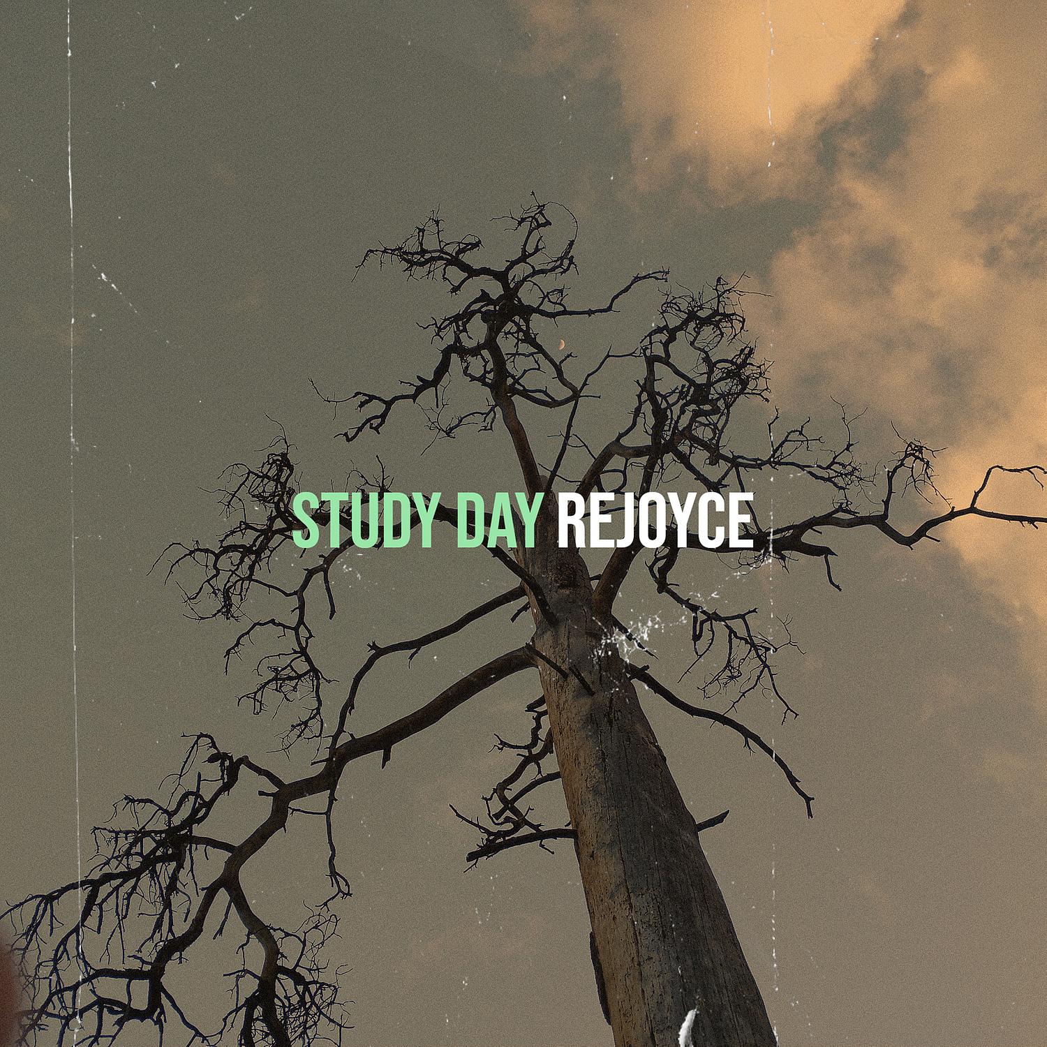 Study Day