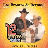Broncos De Reynosa - Te Traigo En Mi Cartera (karaoke)