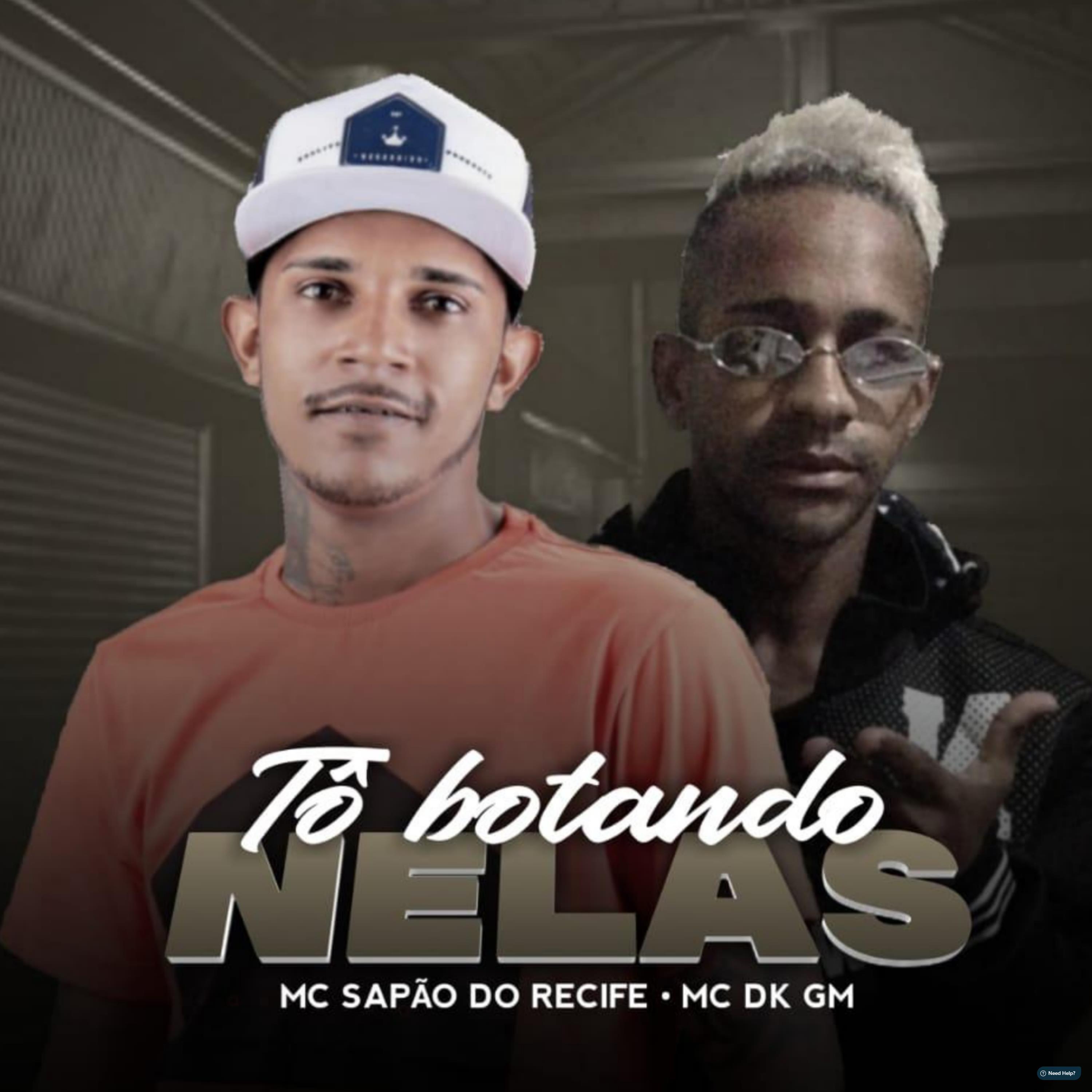 MC Sapão do Recife - Tô Botando Nelas