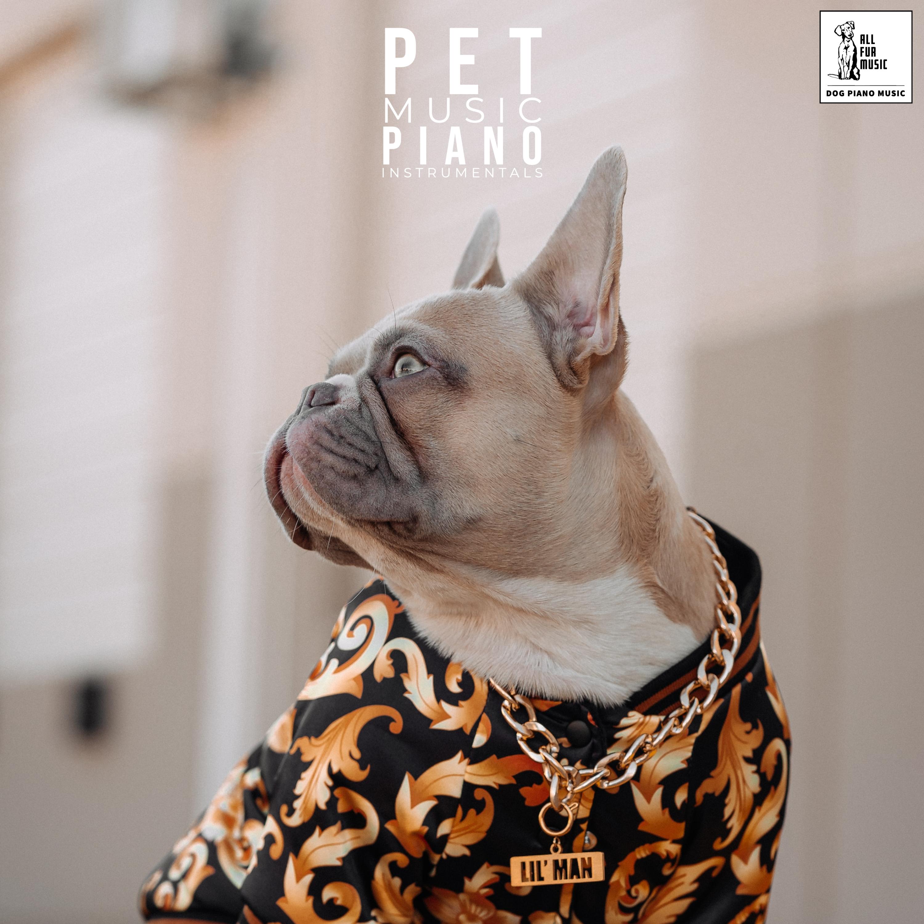 Pet Music Piano Instrumentals