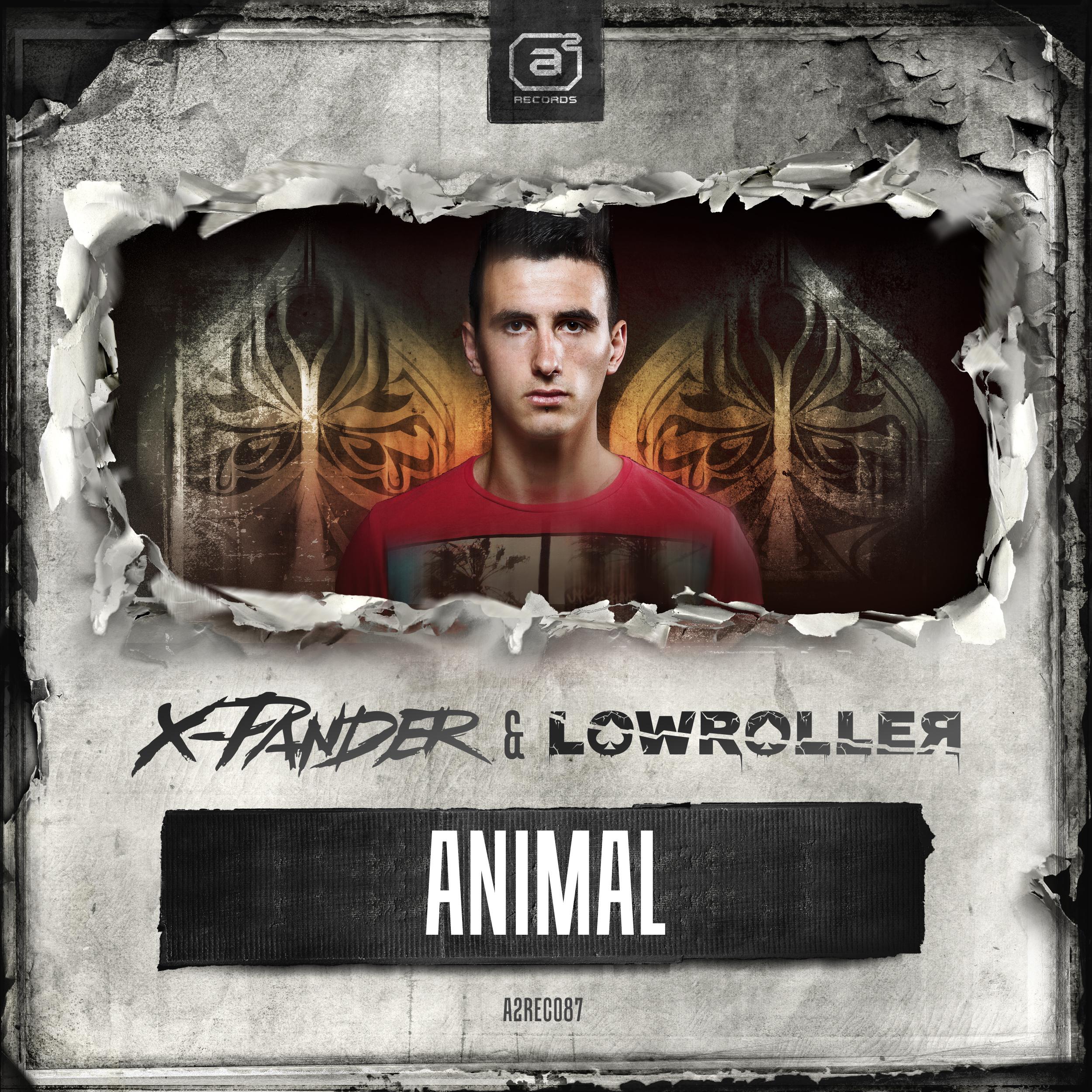 Animal