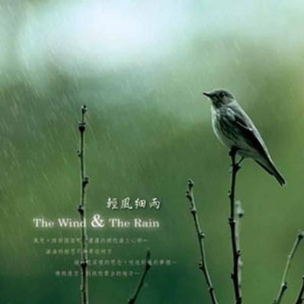 王俊雄-谛听.自然.书香.抒情