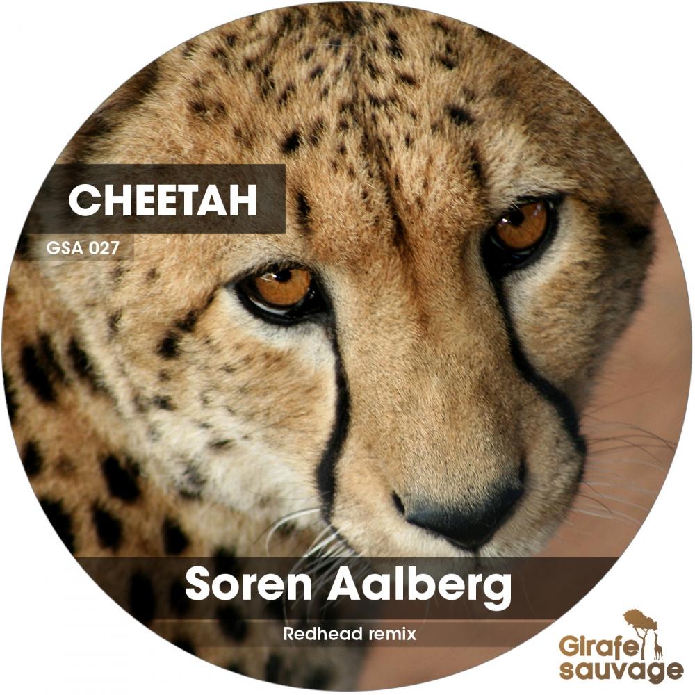Cheetah
