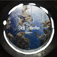 Sky Traveller