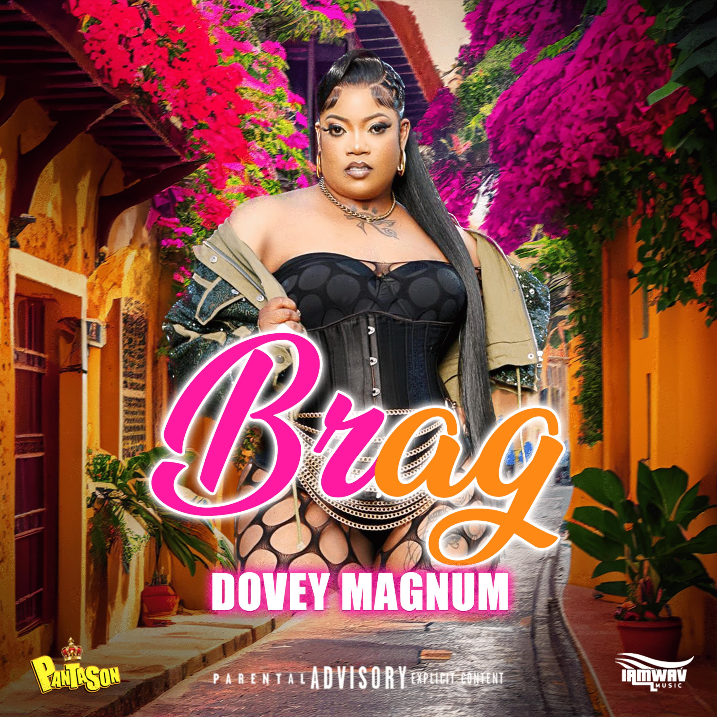 Dovey Magnum - Brag (Radio Edit)