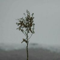 [DJ节目]你说那叫野的DJ节目 第11期