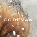 Codevan