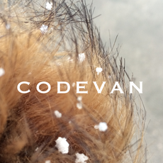 Codevan