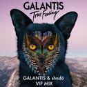 True Feeling (Galantis & shndō VIP Mix)专辑