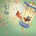 《韶华若锦》影视原声带