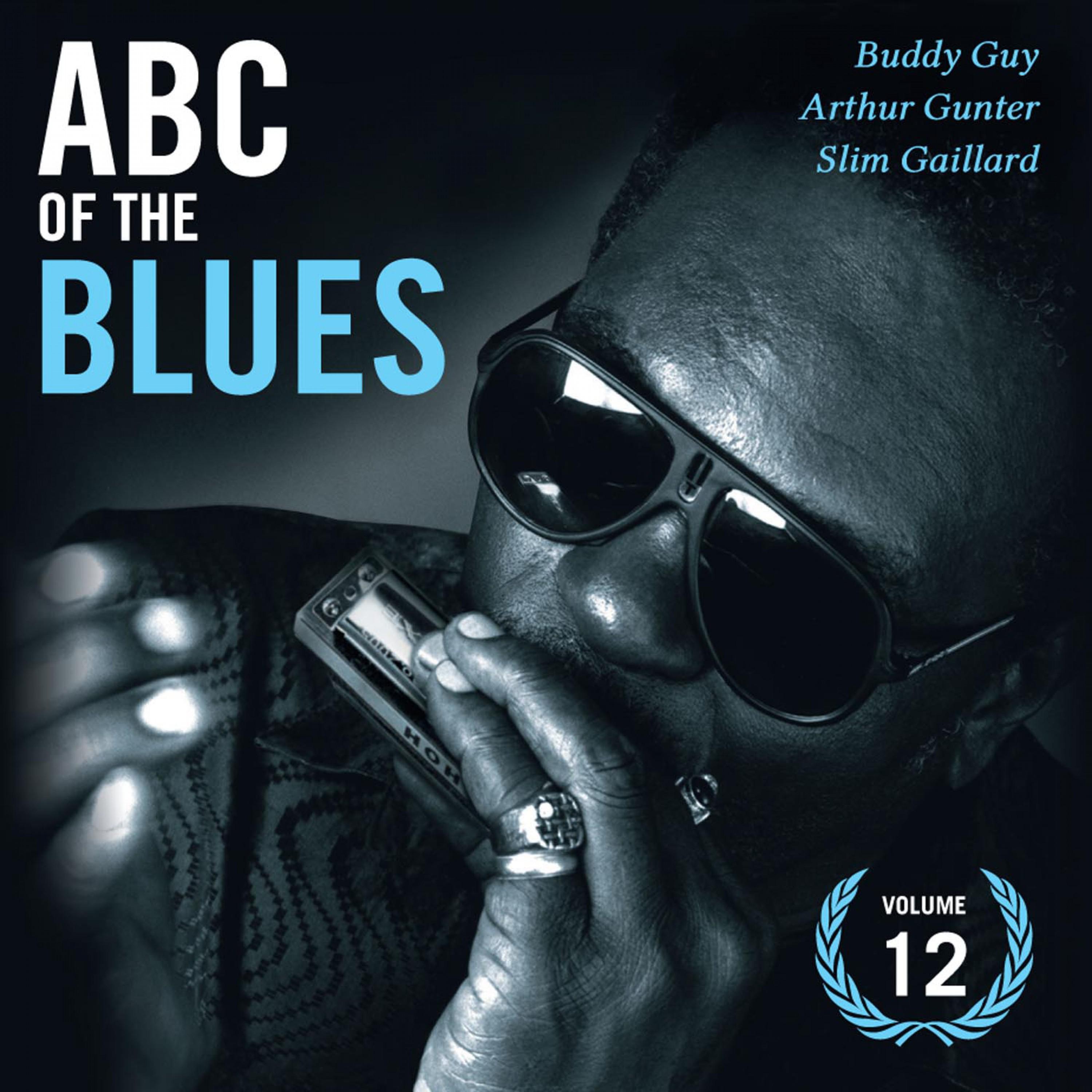 Abc of the Blues Vol. 12专辑