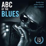 Abc of the Blues Vol. 12