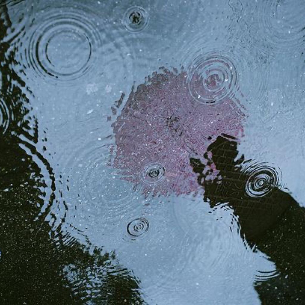 四月的每一场雨，都与你无关。