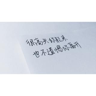 十二