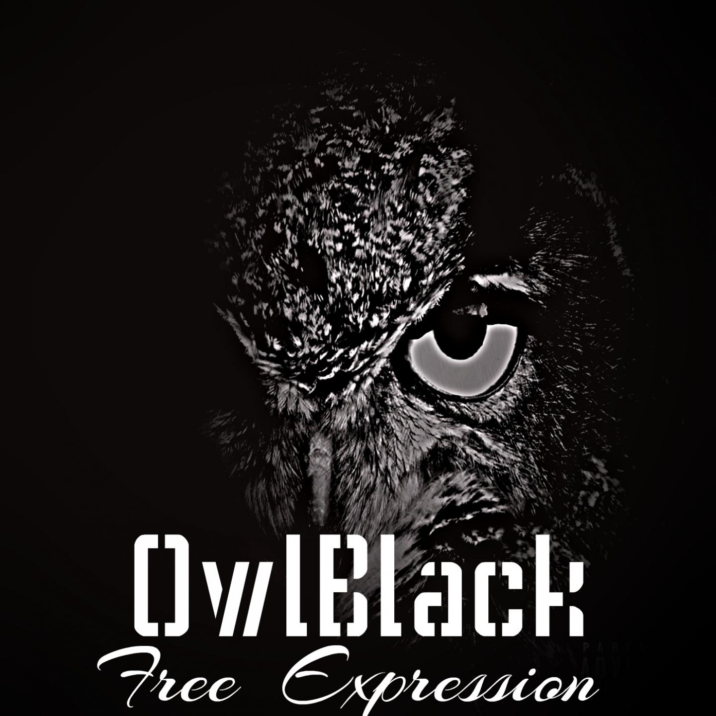 Owl Black专辑