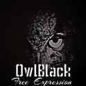 Owl Black专辑