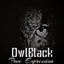 Owl Black