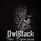 Owl Black专辑