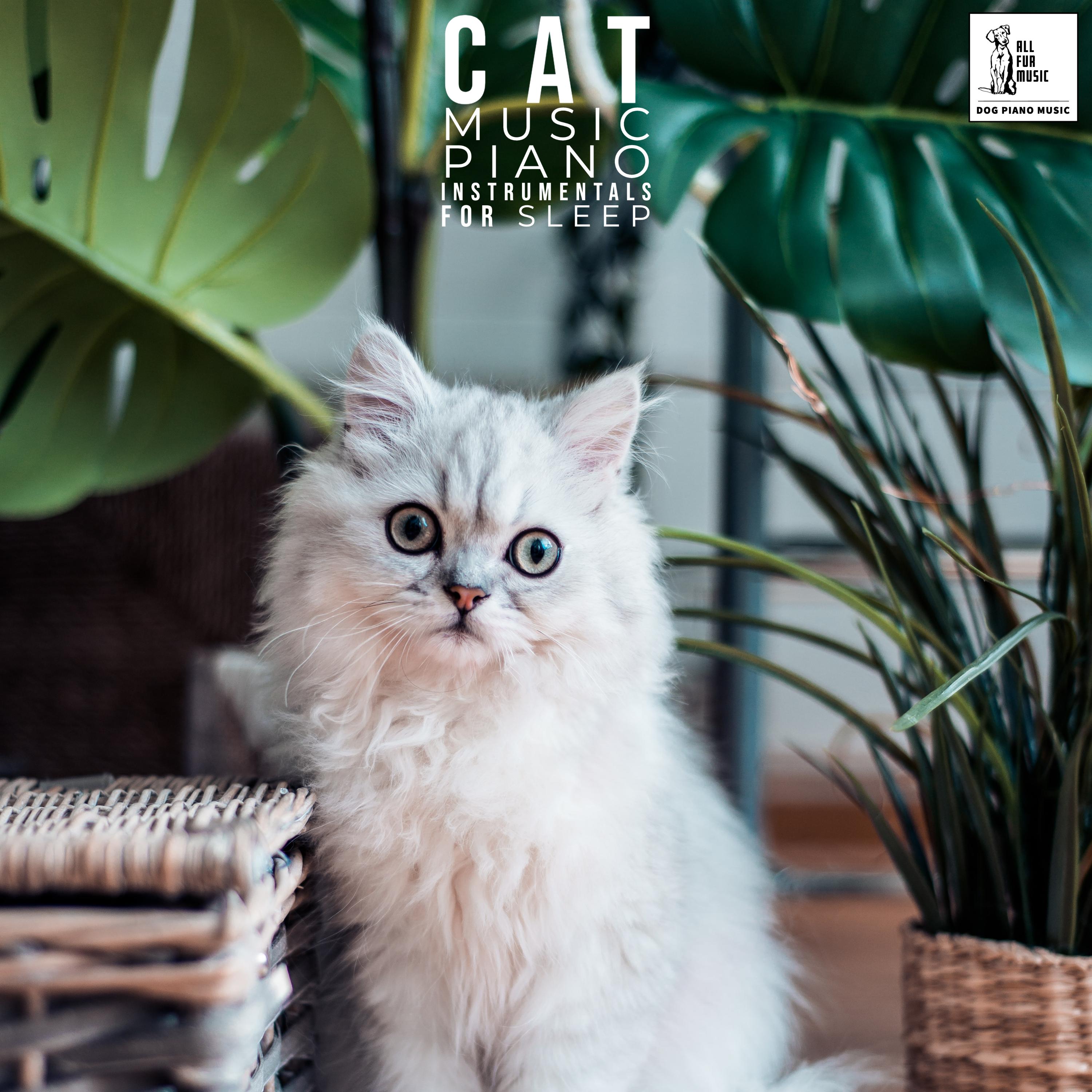 Cat Music Piano (Instrumentals For Sleep)