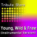 Snoop Dogg & Wiz Khalifa feat. Bruno Mars - Young, Wild & Free (Instrumental Version)专辑