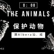 群星-(Free）Protect the animals（潮Albera 汕. 威 Remix）