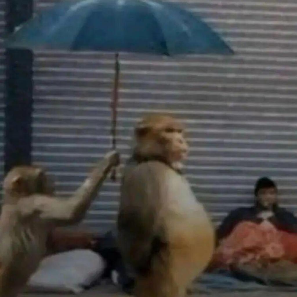 出殡唢呐提前听