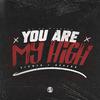 Dj VN Maestro - Dj Vn Maestro X You Are My High (Slowed e Reverb)