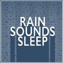 Rain Sounds: Sleep专辑