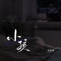蓝心羽、Big Cole - 星空剪影(说唱版原版伴奏)