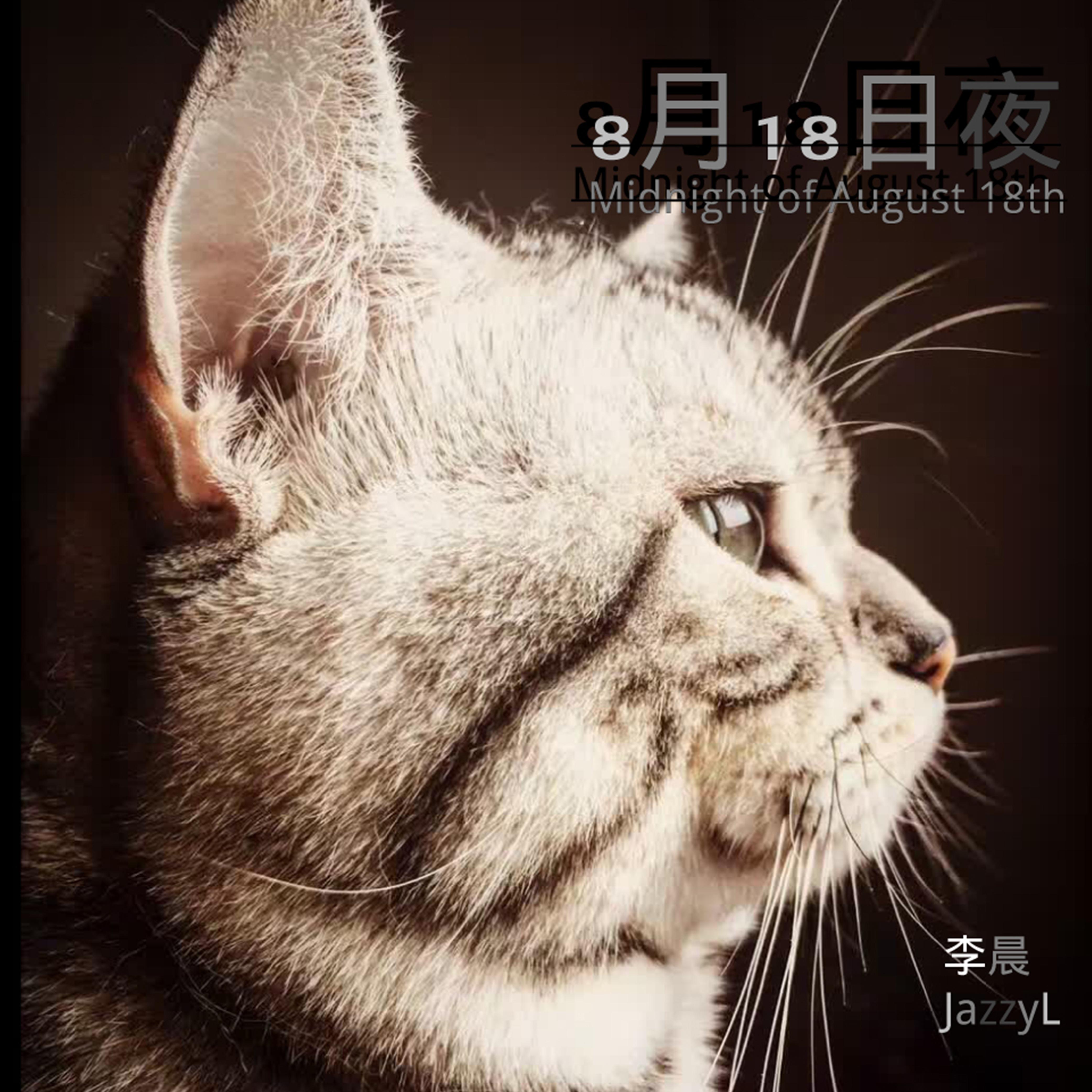 8月18日夜专辑