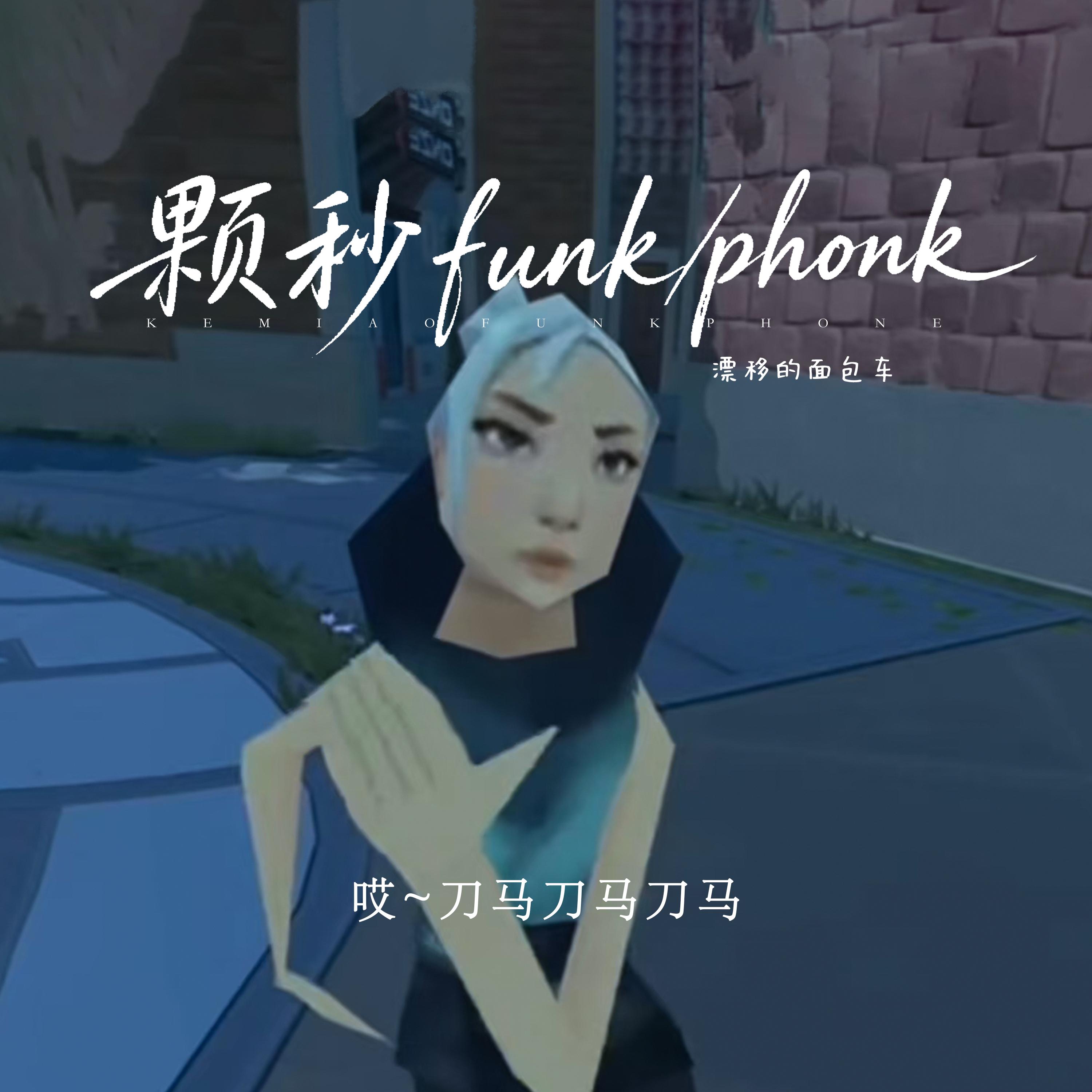 颗秒funk/phonk(刀马刀马)