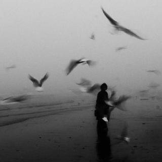 极致安静｜无鼓点｜纯音乐｜致郁｜治愈