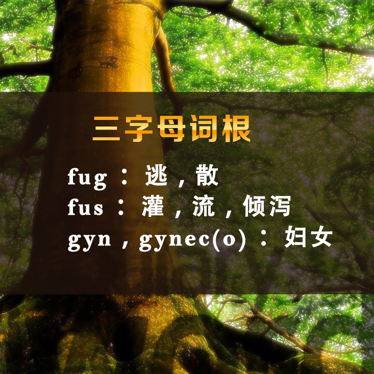 北京外语广播王牌教学
