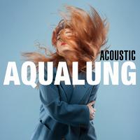 Miss Li - Aqualung  伴奏