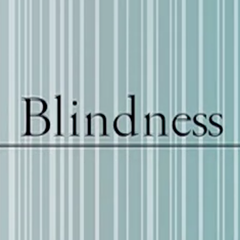 Blindness（翻自 初音ミク）