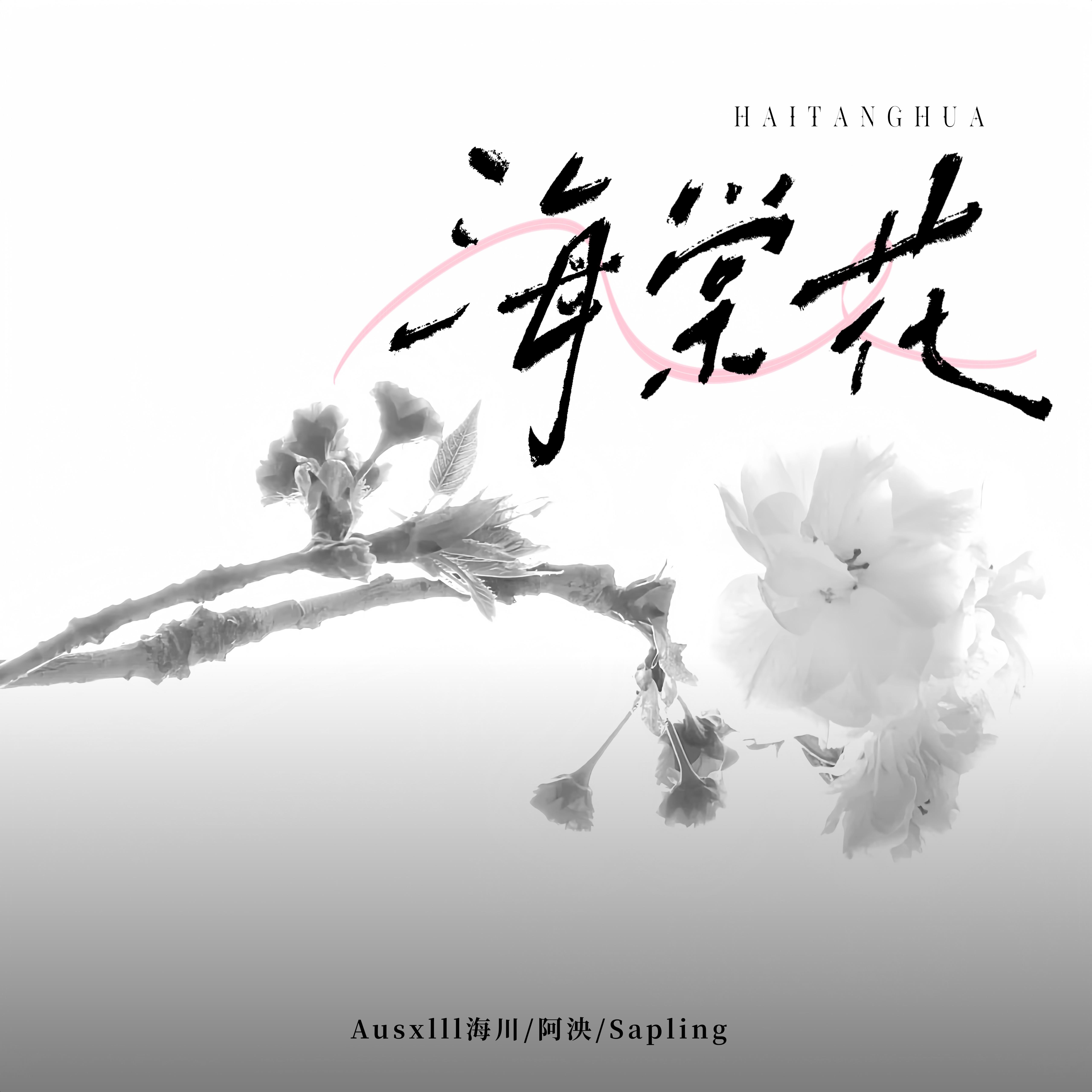 海棠花专辑
