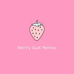 李佳隆-Berry (XwX Remix)（宣宣XwX remix）