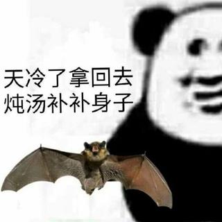 我为什么这么闲