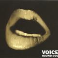 VOICE